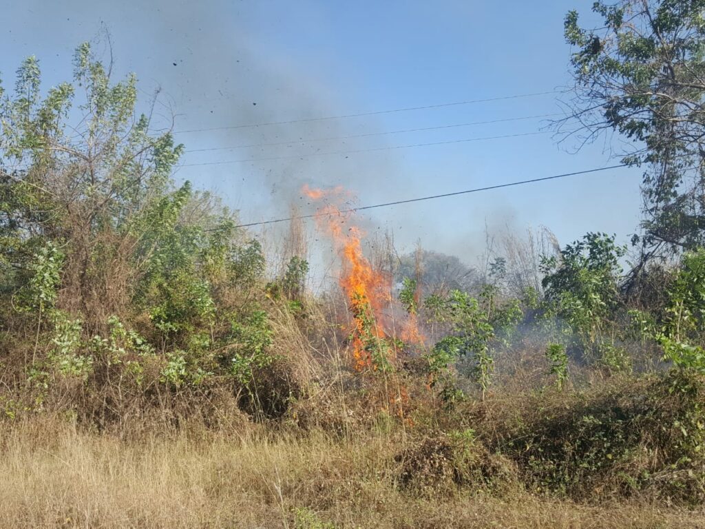 SAN MARCOS EL INCENDIO (1)