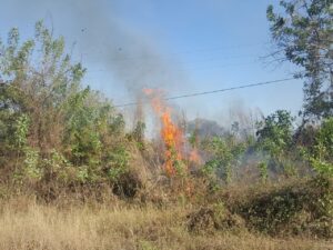 SAN MARCOS EL INCENDIO (1)
