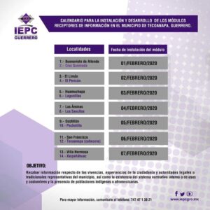 TECOANAPA Convocatoria del IEPC