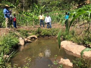 BOLETÍN SAN LUIS CULTIVO DE TILAPIA (1)