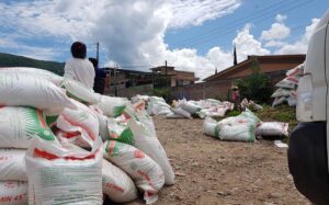 ESTADO ENTREGA DE FERTILIZANTE 2019