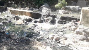 OME Aguas negras en la colonia Alianza Campesina (2)