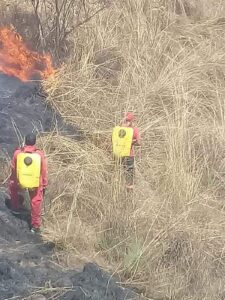 OME INCENDIO CONSUME 80 Ha