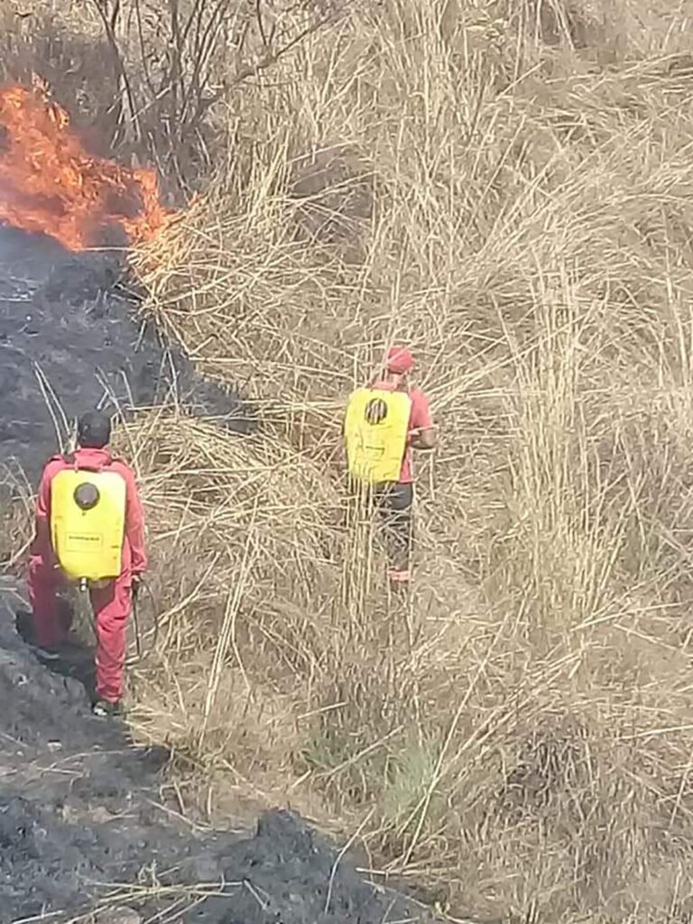 OME INCENDIO CONSUME 80 Ha