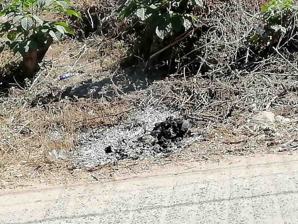 OME Quema de basura