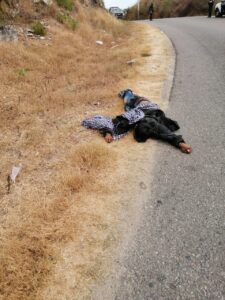 ROJA ASESINADO A BALAZOS (1)