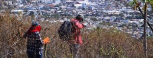 ROJA BUSCAN DESAPARECIDOS EN 16 PUNTOS DE TLAPA