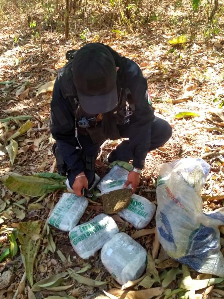 ROJA INCAUAN MARIHUANA EN ACAPULCO