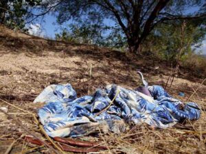 ROJA NUEVE CUERPOS EN FOSAS DE GUANAJUATO