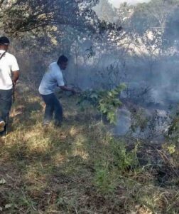 TECOANAPA Incendio en Tecoanapa