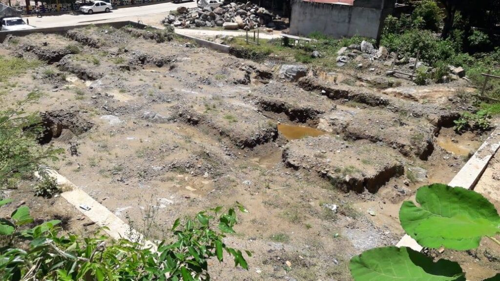 XOCHIS construcción a medias del mercado.
