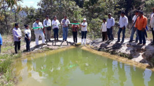 BOLETÍN SAN LUIS DIAGNÓSTICO DE ESTANQUES (2)