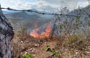 BOLETÍN SAN LUIS INCENDIO (5)