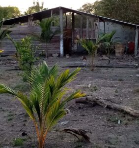 JUCHITÁN GRANJA LA BRUJITA