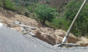 OME La carretera trozada (1)