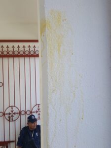 ROJA - Huellas de los huevos en la comandancia