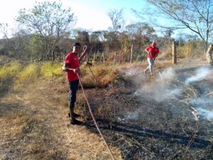 ROJA INCENDIOS QUE FUERON PROVOCADOS (2)
