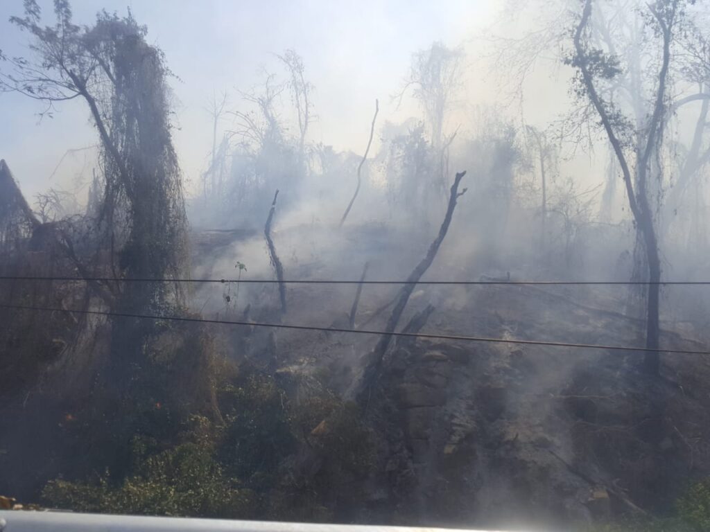 SAN MARCOS EL INCENDIO