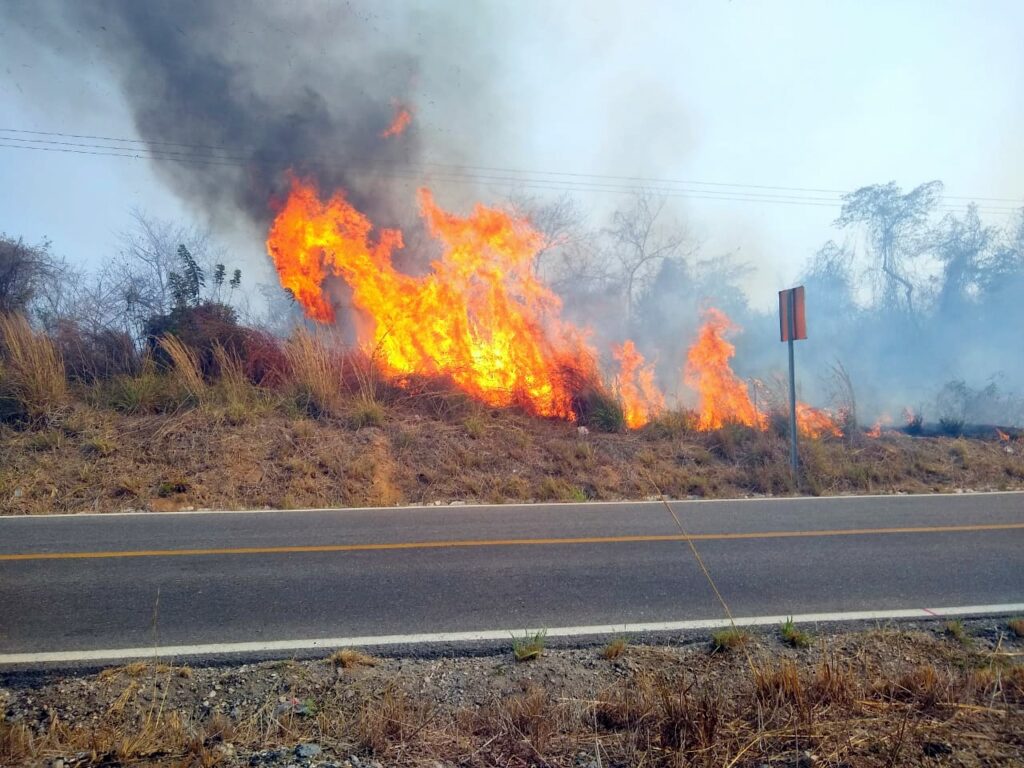 JUCHITÁN DAÑOS