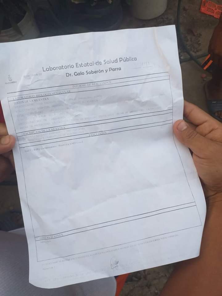 PRINCIPAL EL RESULTADO