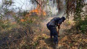 ROJA EL INCENDIO (1)