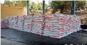 XOCHIS FERTILIZANTE 1