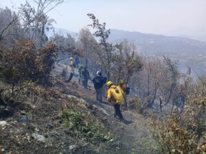 ASTUDILLO INCENDIO (2)