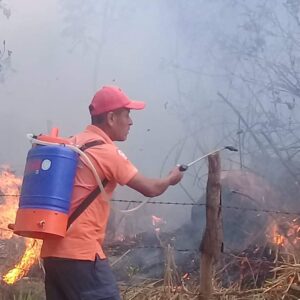 AYUTLA Incendio en Tierra Blanca