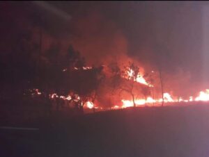 CONGRESO INCENDIO