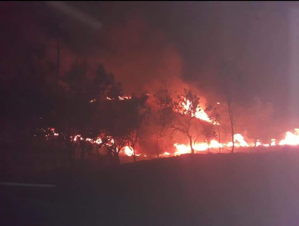 CONGRESO INCENDIO