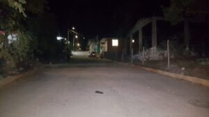 COPALA - Calles libres