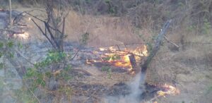 Cuautepec Ocho días lleva el incendio