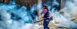 ESTADO DENGUE