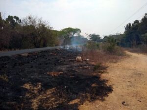 JUCHITÁN LUGAR DEL SINIESTRO (1)