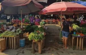 Marquelia Comerciantes locales