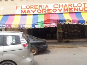 PRINCIPAL Floreria