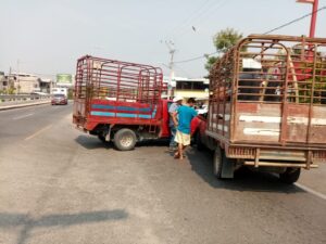 ROJA - Las camionetas ganaderas (2)