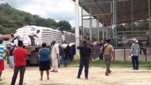 TLACO PRODUCTORES DE LAS MINAS (1)