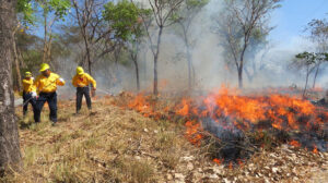 estado incendios