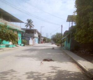 MARQUELIA PERRO MUERTO Y ABANDONADO