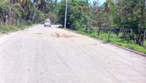 COPALA ASÍ LUCE LA CARRETERA (1)