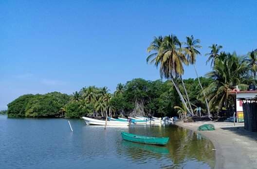 MARQUELIA Pescador