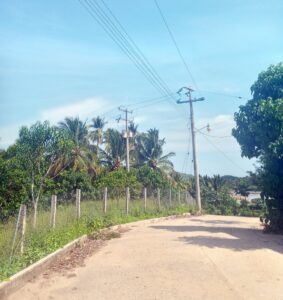 MARQUELIA RED DE ENERGÍA ELÉCTRICA