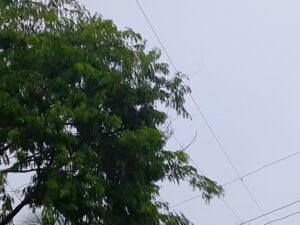 Exif_JPEG_420