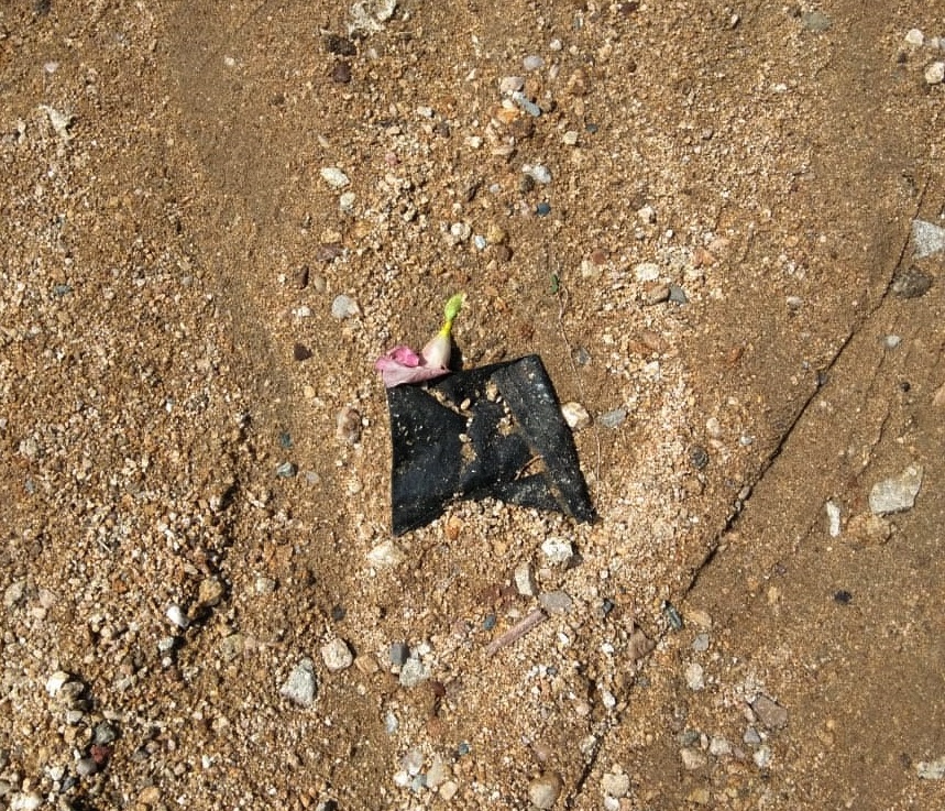 Marquelia Cubre bocas tirados (1)