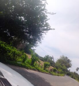 Exif_JPEG_420