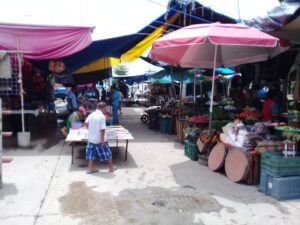 Marquelia Precio del pollo se mantiene en 180 pesos