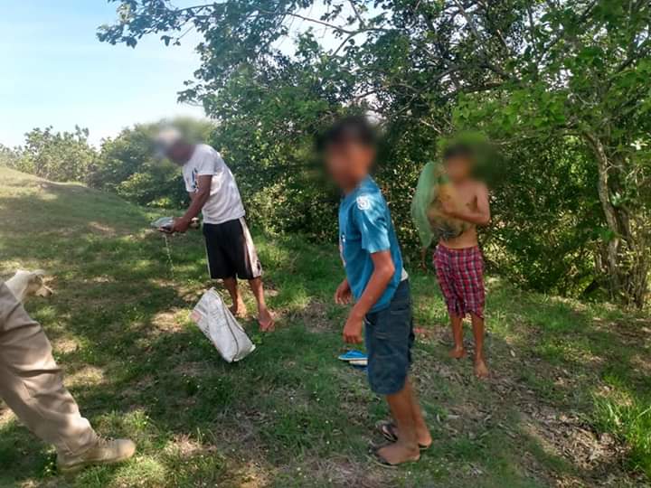 ROJA LOCALIZADOS CERCA DEL ARROYO CHOLCHOAPA