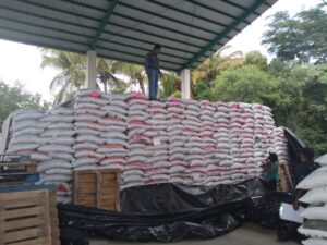 SAN LUIS REALIZANDO EL CONTEO DEL FERTILIZANTE