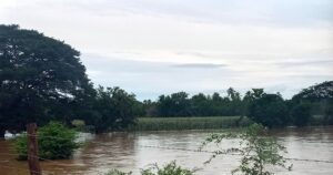 CUAJI SEMBRADÍOS DE MAÍZ BAJO EL AGUA